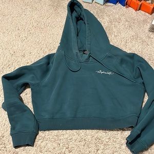 Alphalete crop hoodie